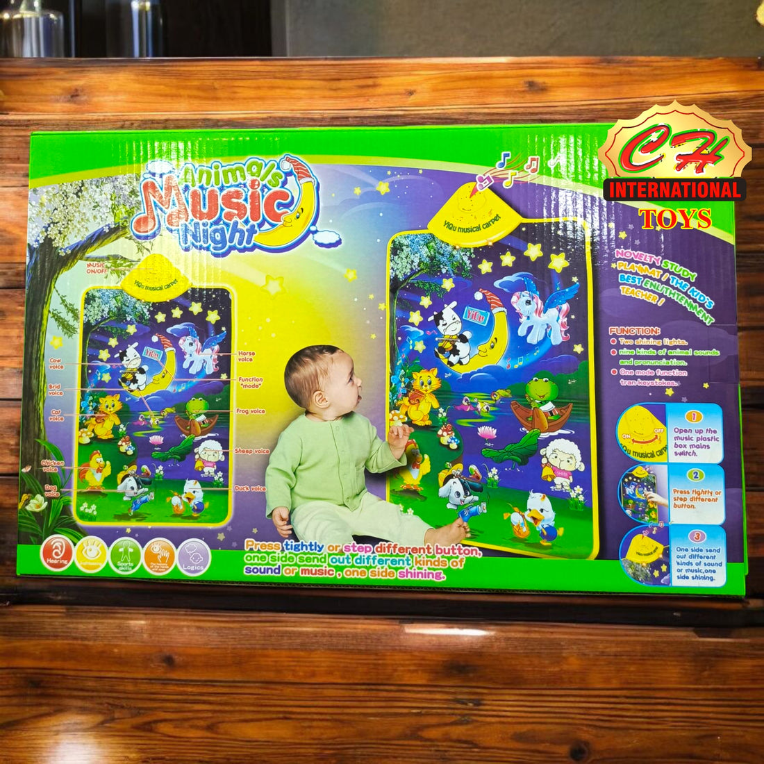 Animals Music Night Mat YQ2981